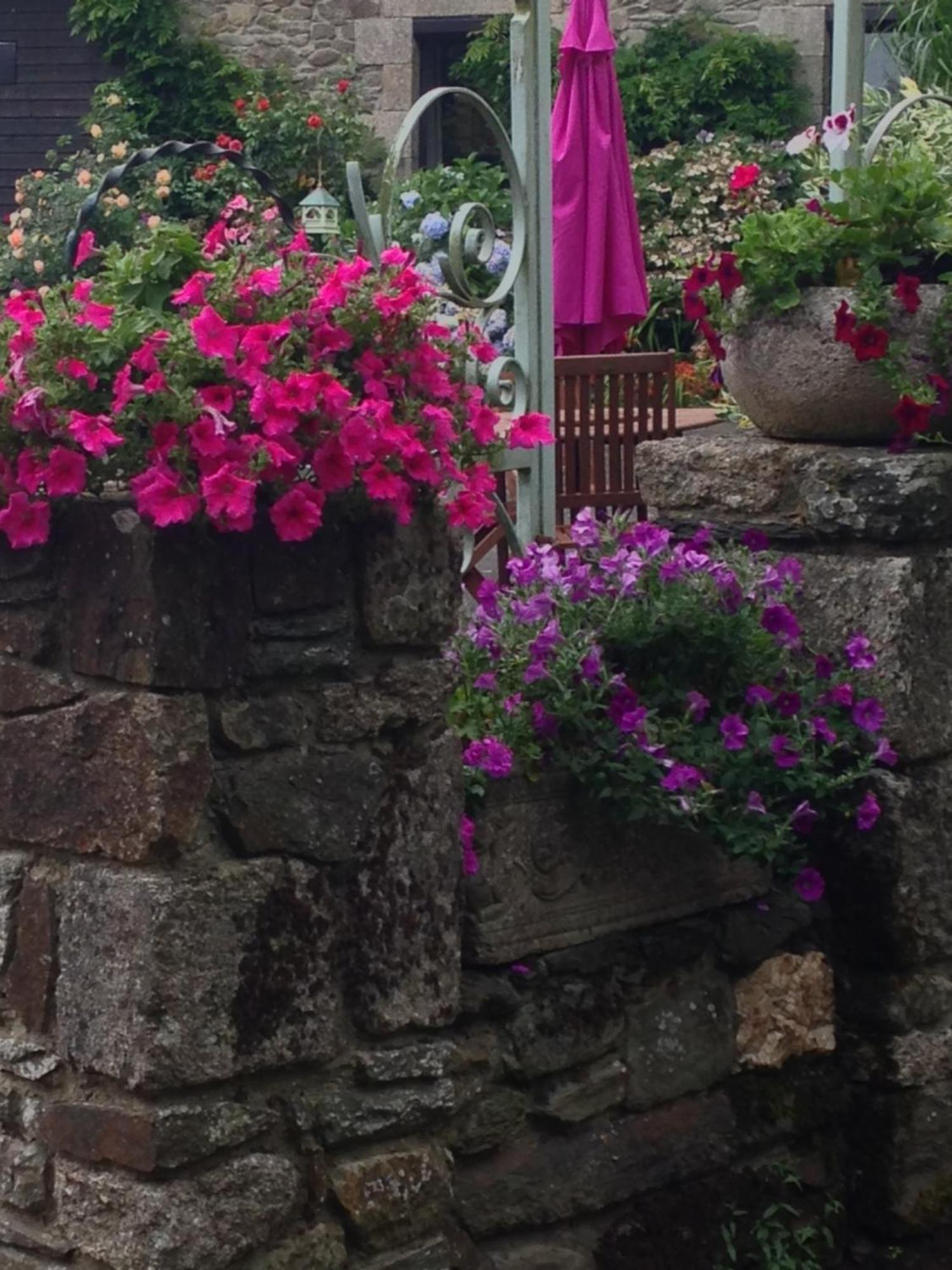 Le Petit Chateau, Matisse Noyal-Pontivy Exteriör bild
