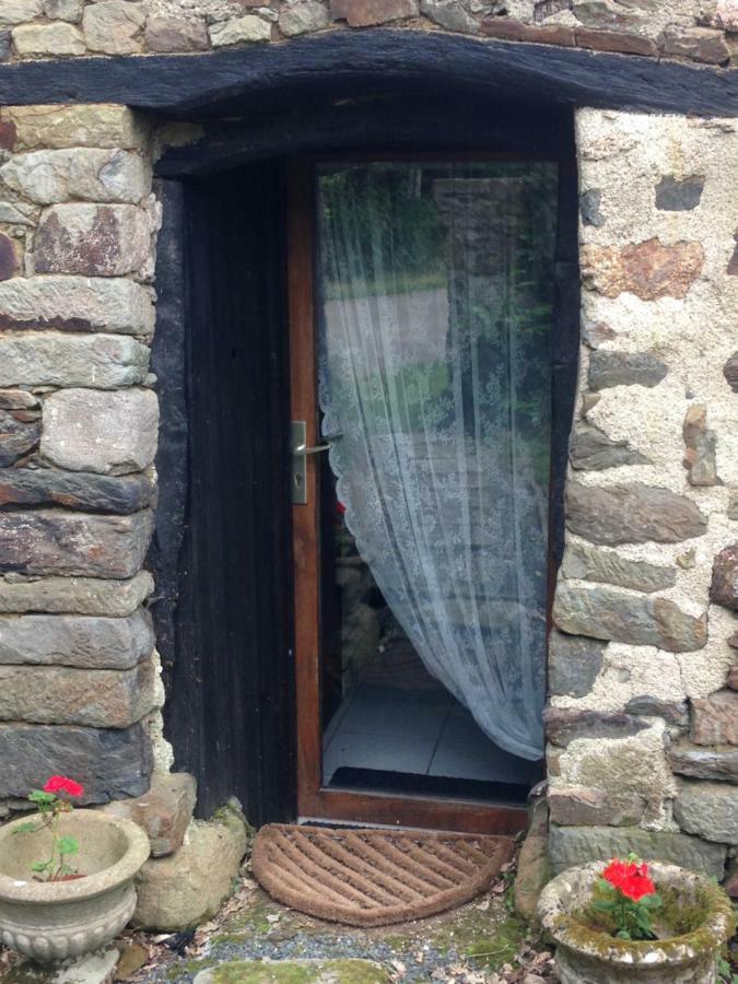Le Petit Chateau, Matisse Noyal-Pontivy Exteriör bild